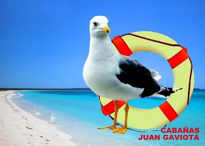 Cabanas Juan Gaviota