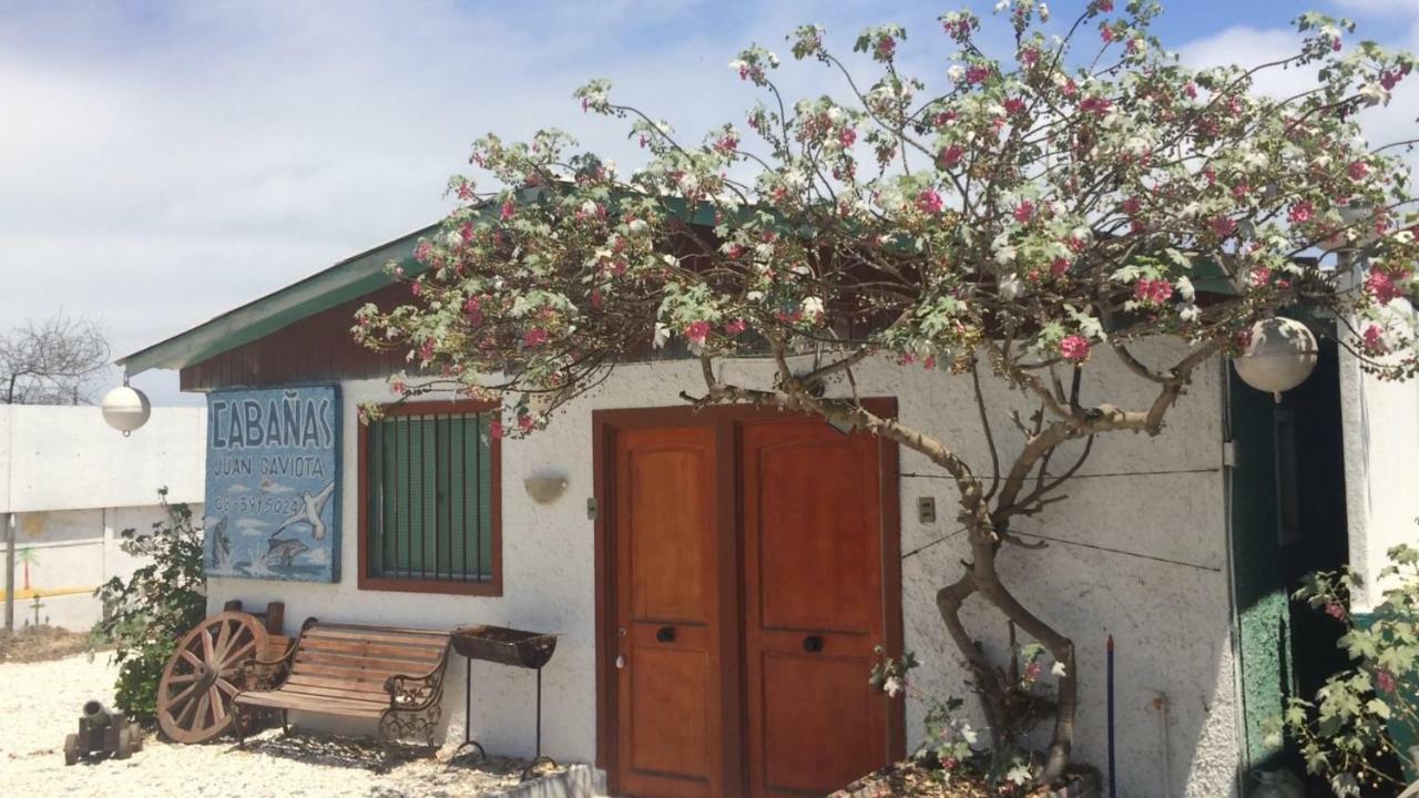 Juan Gaviota Lodge *