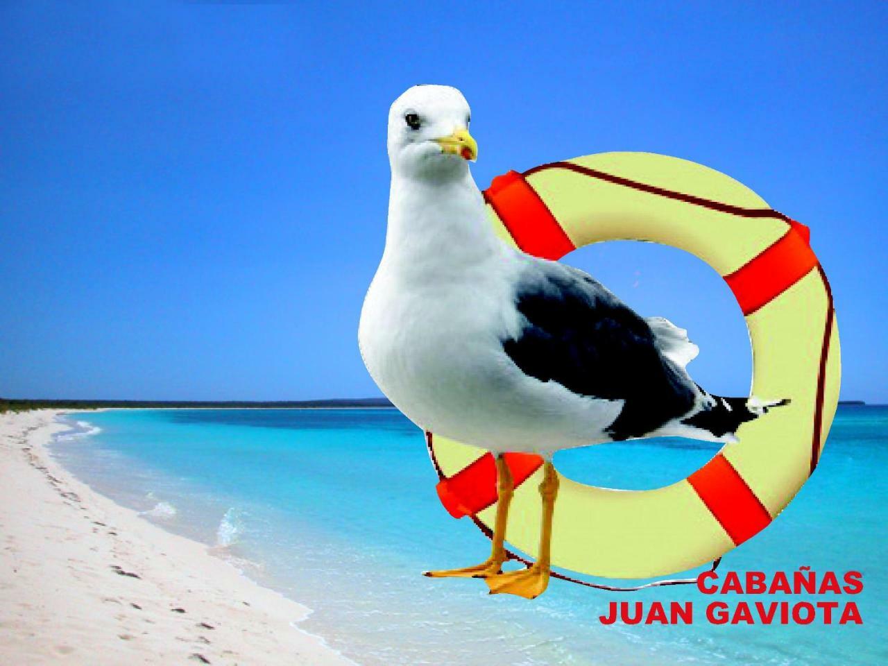 Lodge Juan Gaviota