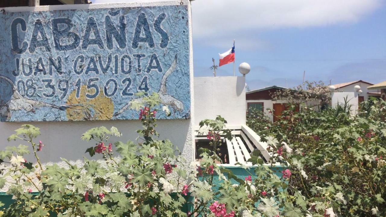 Lodge Juan Gaviota