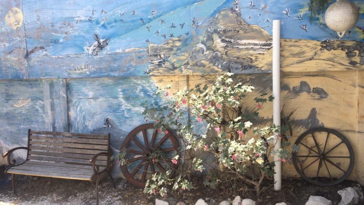 Juan Gaviota * Punta de Choros