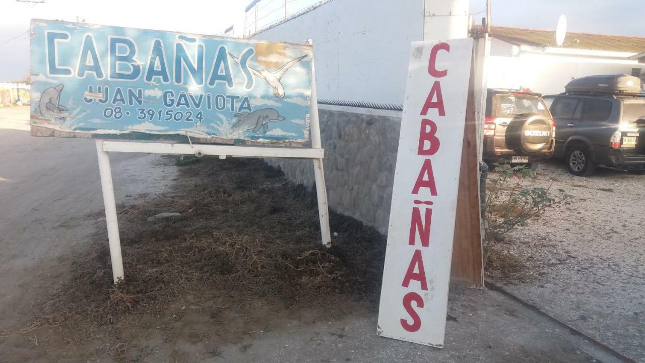 Juan Gaviota *