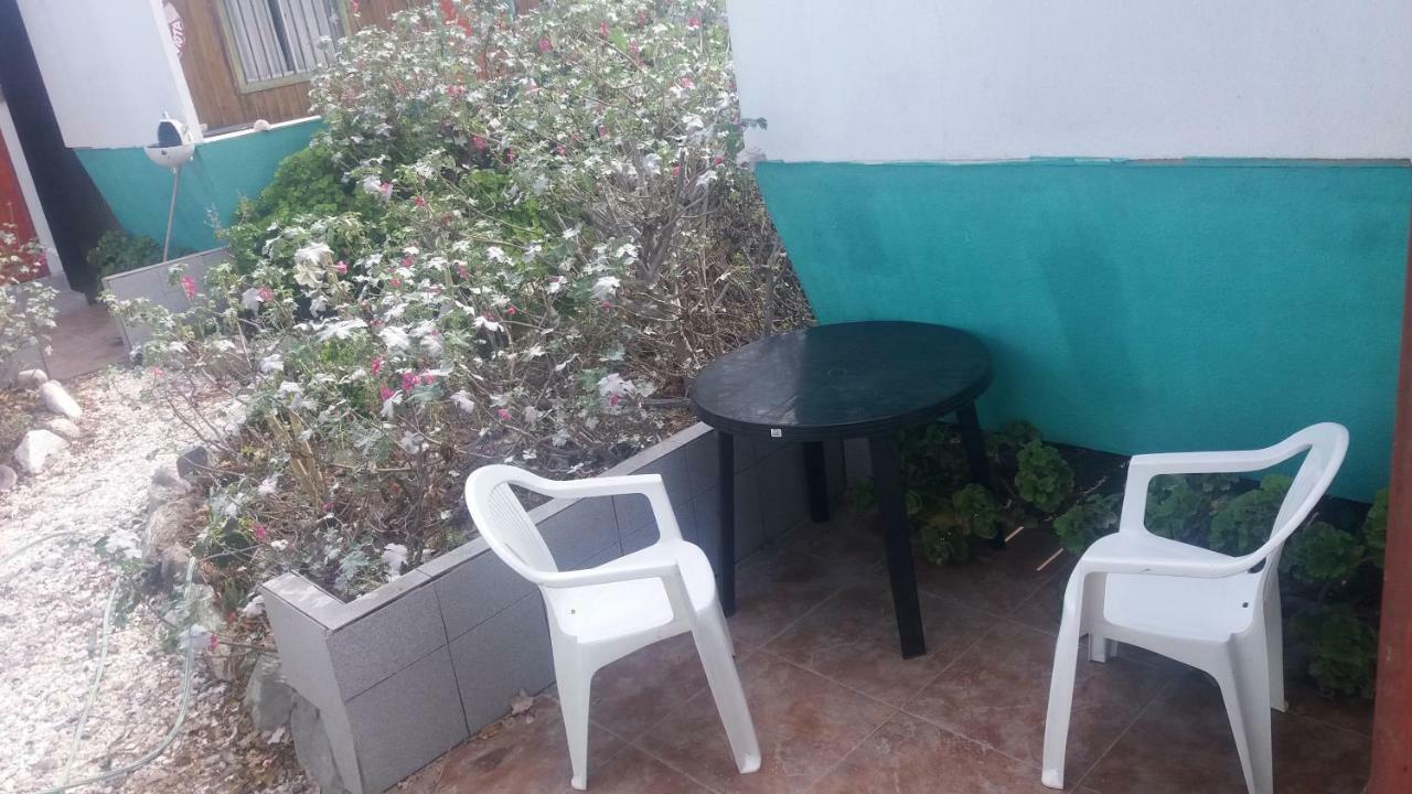 Juan Gaviota * Punta de Choros