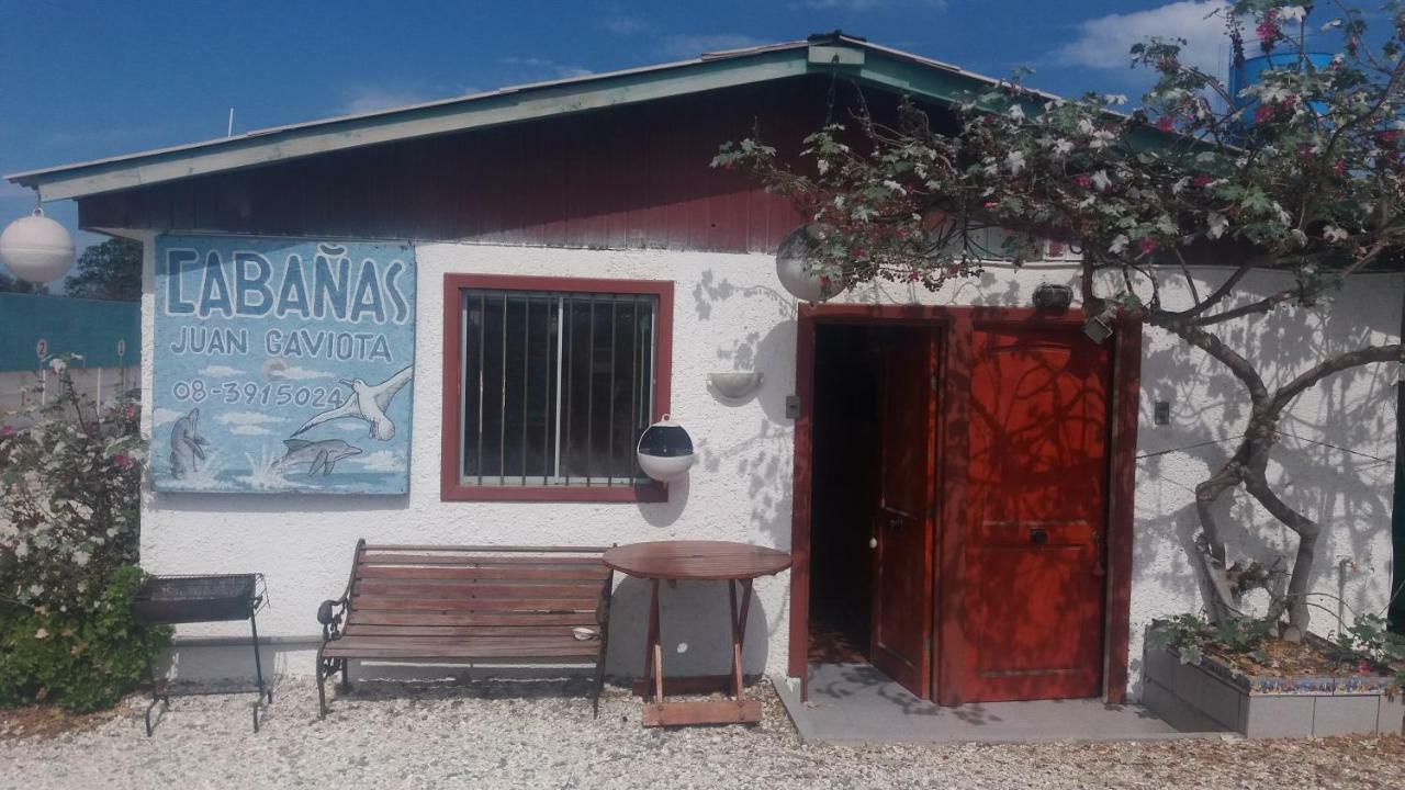 Juan Gaviota