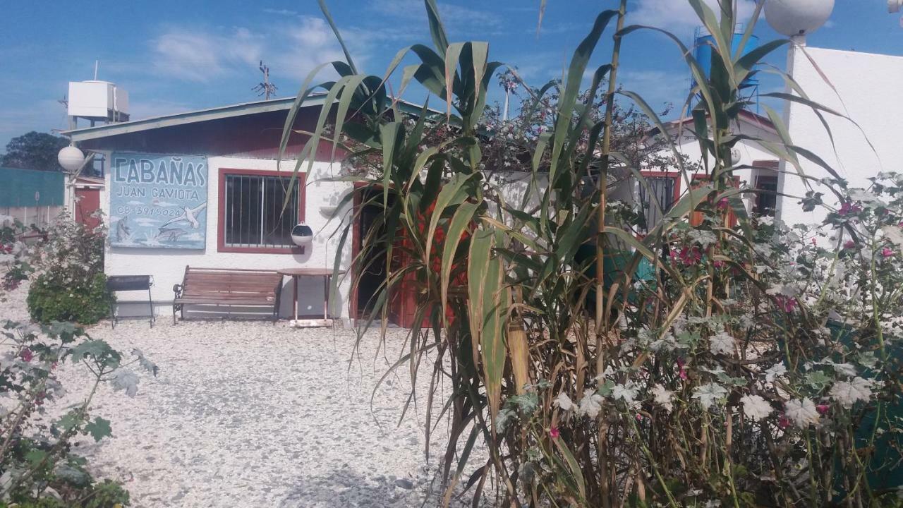Juan Gaviota Lodge