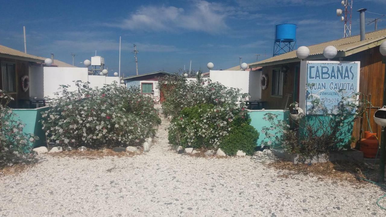 Lodge Juan Gaviota