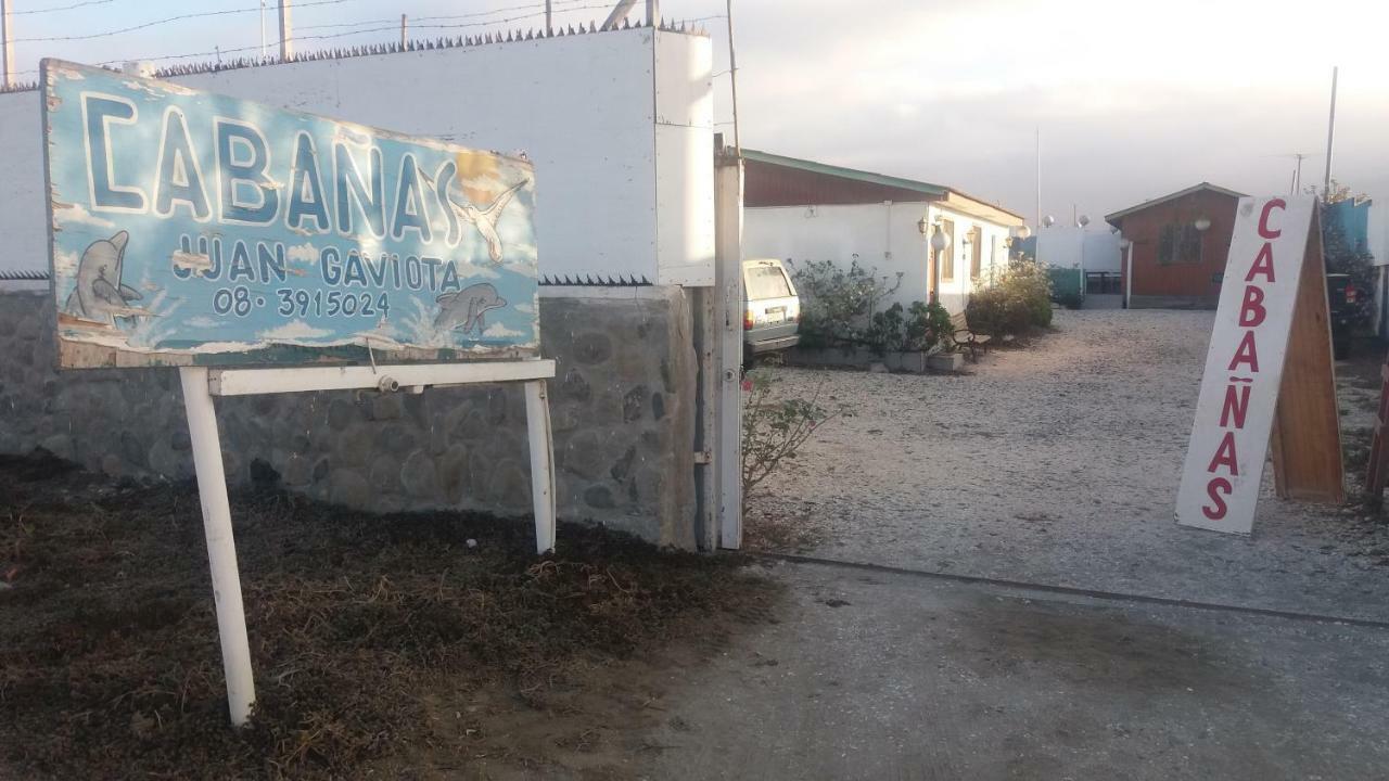 Juan Gaviota * Punta de Choros