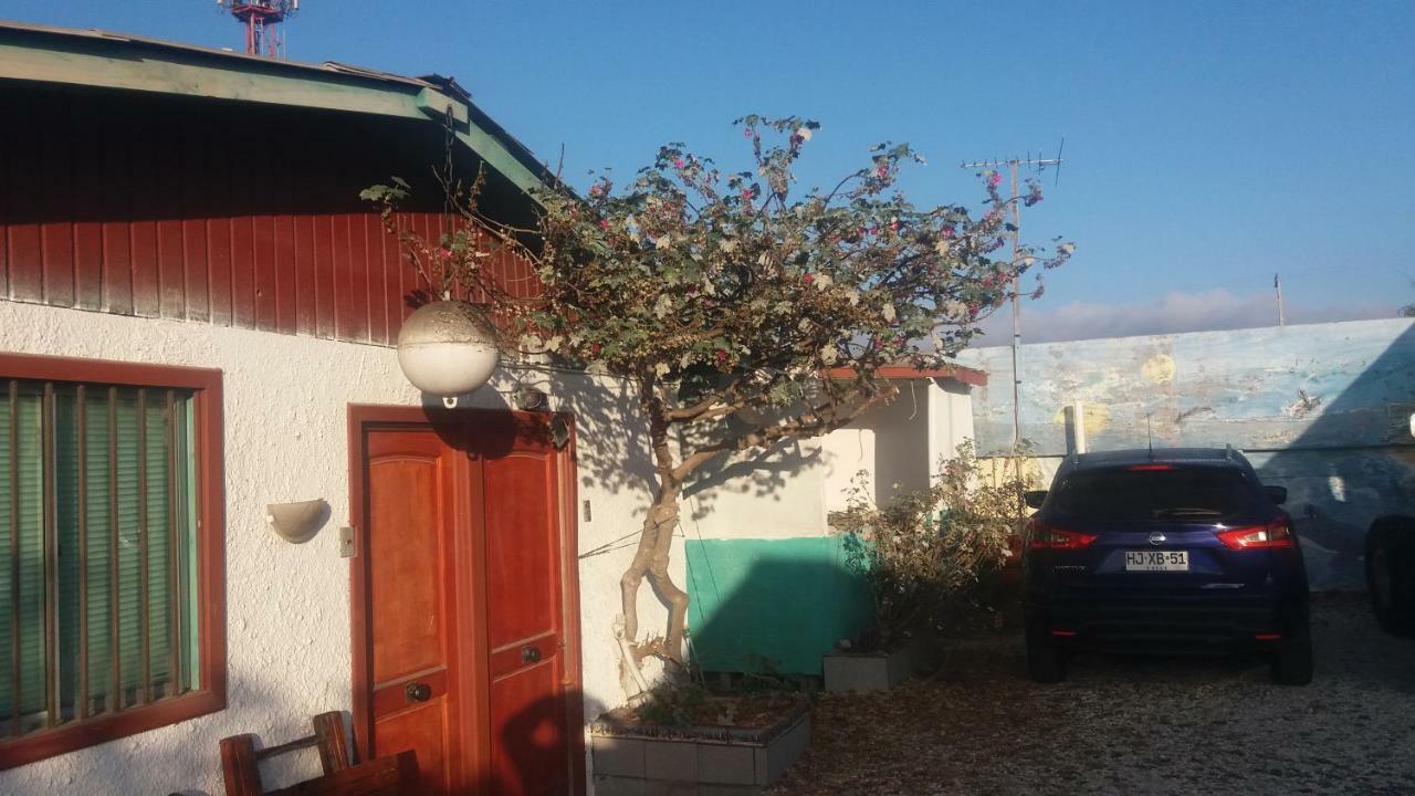 Juan Gaviota * Punta de Choros